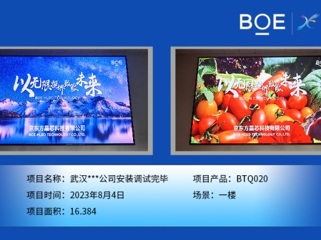 湖北武漢***公司安裝調(diào)試完畢