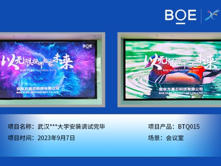 大興安嶺武漢***大學(xué)會(huì)議室BTQ015安裝調(diào)試完畢