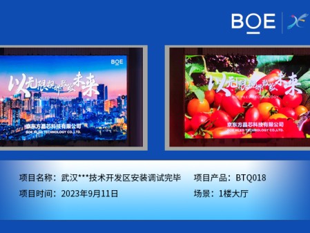 湖北武漢**技術(shù)開(kāi)發(fā)區(qū)1樓大廳BTQ018安裝調(diào)試完畢