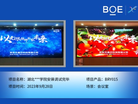 湖北湖北**學院會議室BRY015安裝調(diào)試完畢（1）