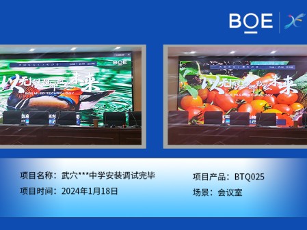 西藏武穴***中學(xué)會(huì)議室BTQ025安裝調(diào)試完畢