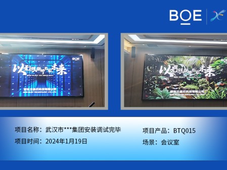 湖北武漢市**集團(tuán)會議室BTQ015安裝調(diào)試完畢