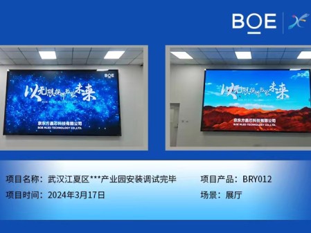 湖北武漢江夏區(qū)**產(chǎn)業(yè)園展廳BRY012安裝調(diào)試完畢