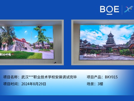 湖北武漢***職業(yè)技術(shù)學校安裝調(diào)試完畢