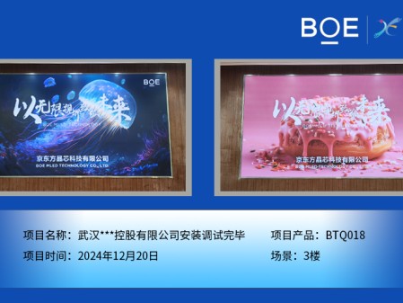 湖北武漢***控股有限公司安裝調試完畢