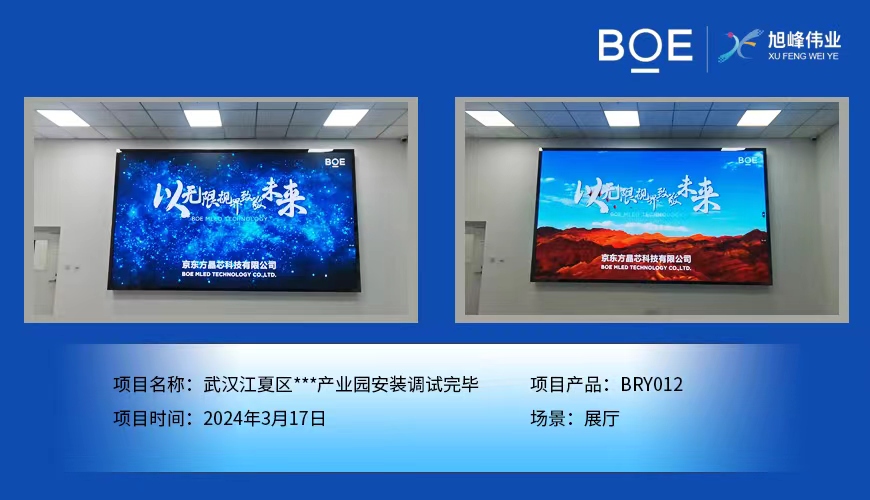 湖北武漢江夏區(qū)**產(chǎn)業(yè)園展廳BRY012安裝調試完畢