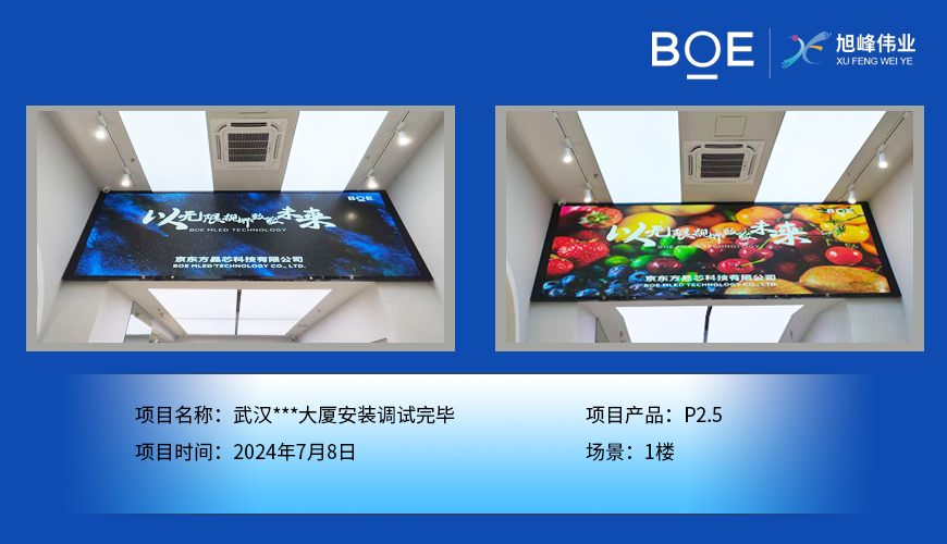 西藏武漢***大廈安裝調(diào)試完畢