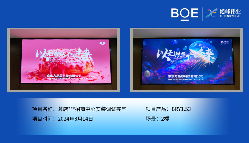 西藏葛店***招商中心安裝調(diào)試完畢