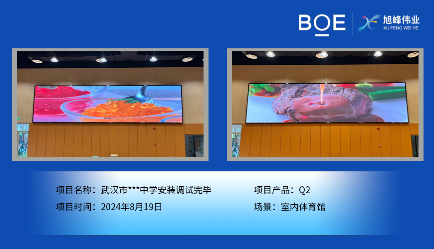西藏武漢市***中學(xué)安裝調(diào)試完畢