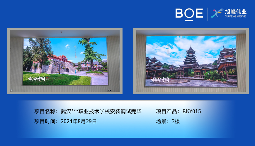 西藏武漢***職業(yè)技術學校安裝調(diào)試完畢