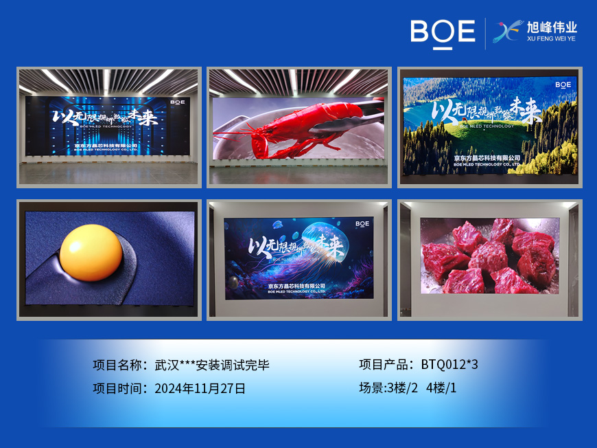 湖北武漢***安裝調(diào)試完畢
